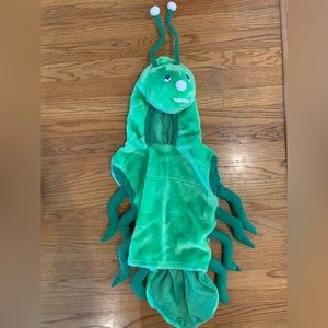 Caterpillar Toddler 18-24M Costume